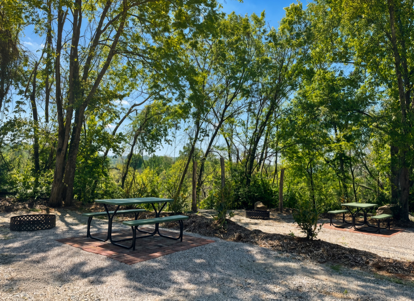 Picnic tables and fire rings at wooded campsites